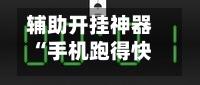 辅助开挂神器“手机跑得快透视万能挂”(辅助神器)开挂详细教程-第2张图片