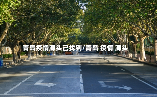 青岛疫情源头已找到/青岛 疫情 源头-第1张图片