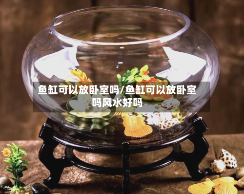 鱼缸可以放卧室吗/鱼缸可以放卧室吗风水好吗-第1张图片