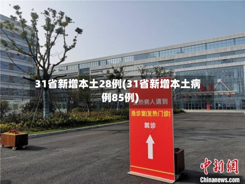 31省新增本土28例(31省新增本土病例85例)-第1张图片