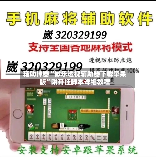 辅助神器“微乐透视辅助器下载苹果版”附开挂脚本详细教程-第2张图片