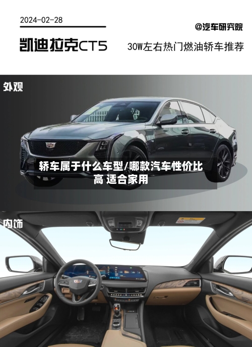 轿车属于什么车型/哪款汽车性价比高 适合家用-第1张图片