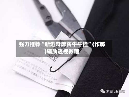 强力推荐“新迅奇麻将牛牛挂	”(作弊)辅助透视教程-第1张图片