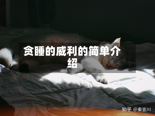 贪睡的威利的简单介绍-第1张图片