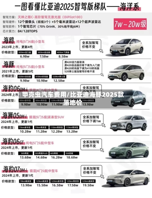 甲壳虫汽车费用/比亚迪海豚2025款落地价-第2张图片