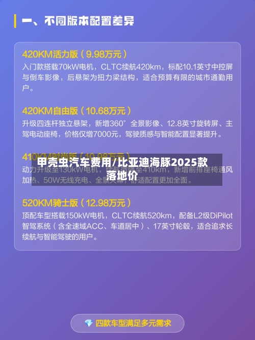 甲壳虫汽车费用/比亚迪海豚2025款落地价-第1张图片