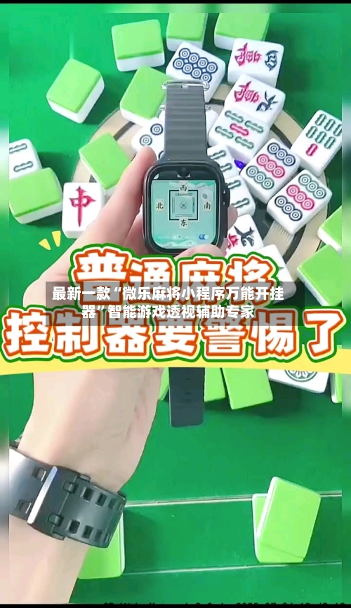 最新一款“微乐麻将小程序万能开挂器”智能游戏透视辅助专家-第3张图片
