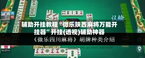辅助开挂教程“微乐陕西麻将万能开挂器	”开挂(透视)辅助神器-第3张图片