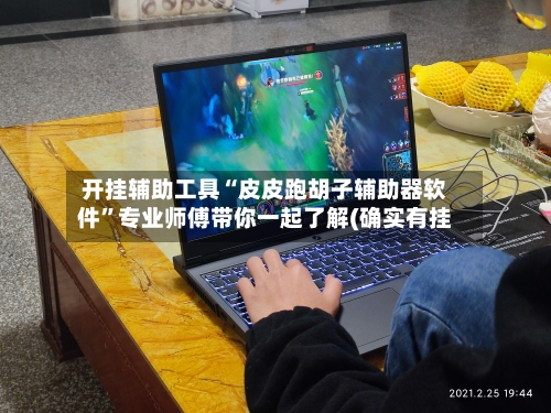 开挂辅助工具“皮皮跑胡子辅助器软件”专业师傅带你一起了解(确实有挂-第1张图片