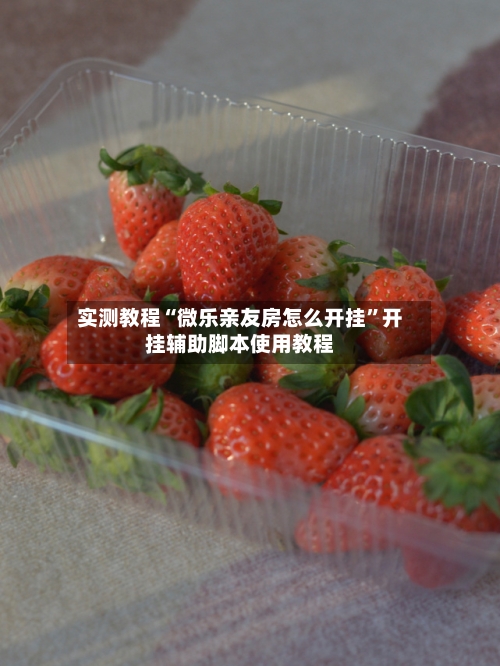 实测教程“微乐亲友房怎么开挂”开挂辅助脚本使用教程-第1张图片