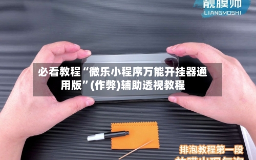 必看教程“微乐小程序万能开挂器通用版”(作弊)辅助透视教程-第2张图片