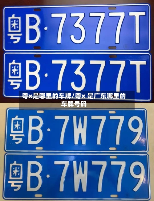 粤x是哪里的车牌/粤x 是广东哪里的车牌号码