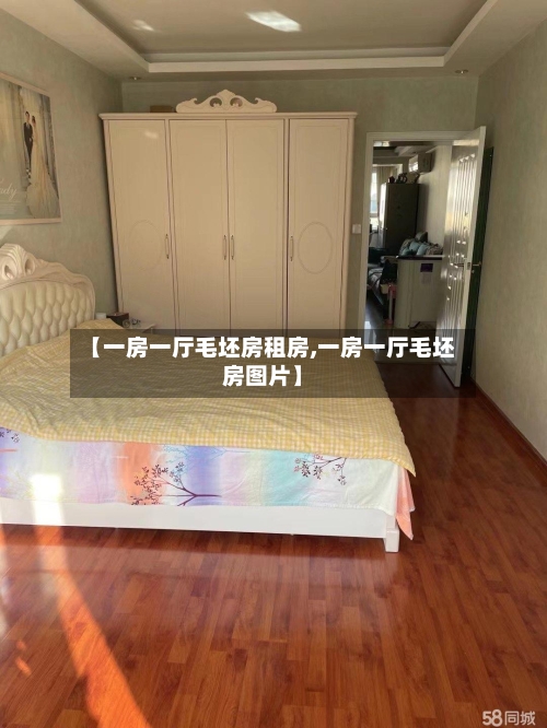 【一房一厅毛坯房租房,一房一厅毛坯房图片】