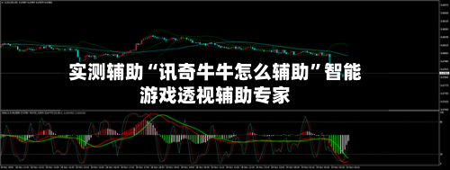 实测辅助“讯奇牛牛怎么辅助”智能游戏透视辅助专家-第1张图片