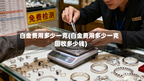 白金费用多少一克(白金费用多少一克回收多少钱)