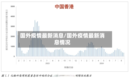 国外疫情最新消息/国外疫情最新消息情况-第2张图片