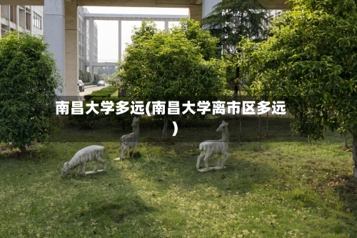 南昌大学多远(南昌大学离市区多远)-第1张图片
