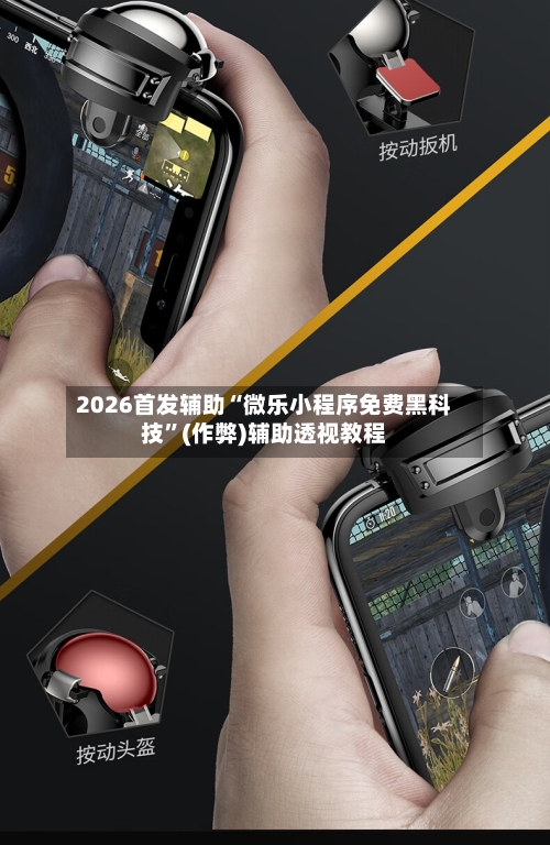 2026首发辅助“微乐小程序免费黑科技”(作弊)辅助透视教程-第1张图片