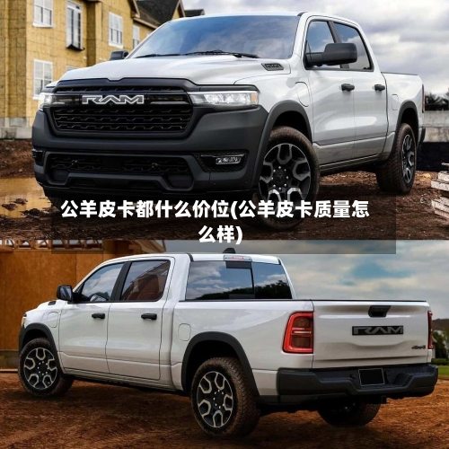 公羊皮卡都什么价位(公羊皮卡质量怎么样)