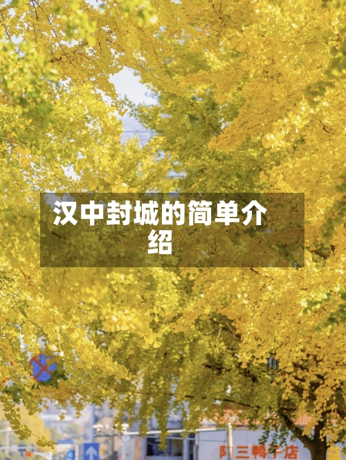 汉中封城的简单介绍