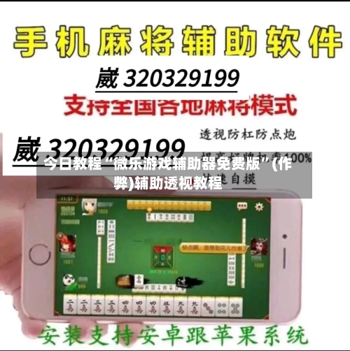 今日教程“微乐游戏辅助器免费版”(作弊)辅助透视教程-第3张图片