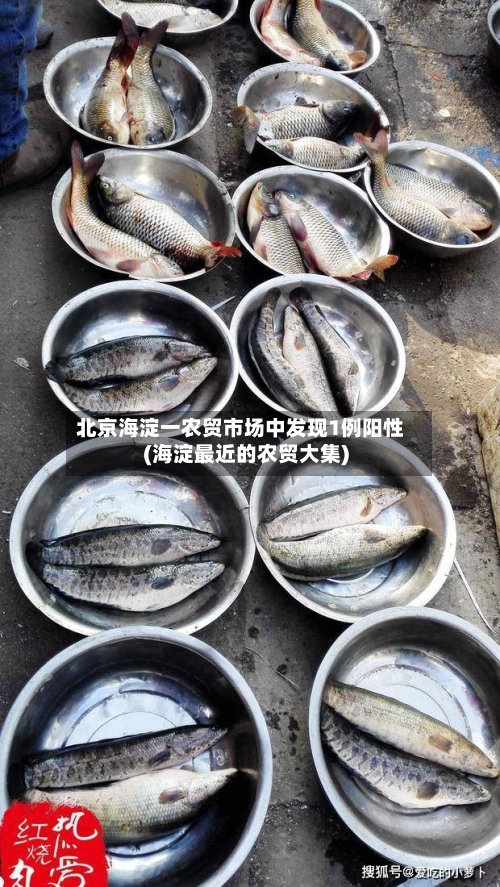 北京海淀一农贸市场中发现1例阳性(海淀最近的农贸大集)-第1张图片