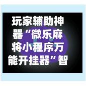 玩家辅助神器“微乐麻将小程序万能开挂器	”智能透视稳定辅助-第2张图片