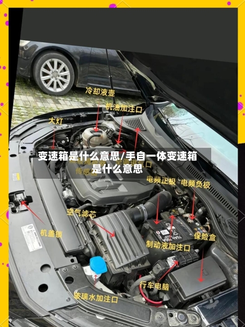 变速箱是什么意思/手自一体变速箱是什么意思-第2张图片