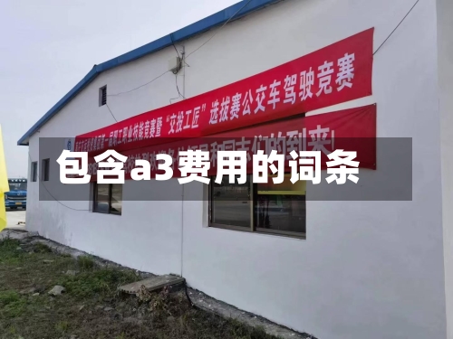 包含a3费用的词条