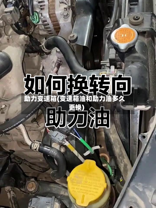 助力变速箱(变速箱油和助力油多久更换)