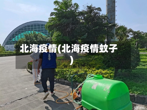 北海疫情(北海疫情蚊子)-第2张图片