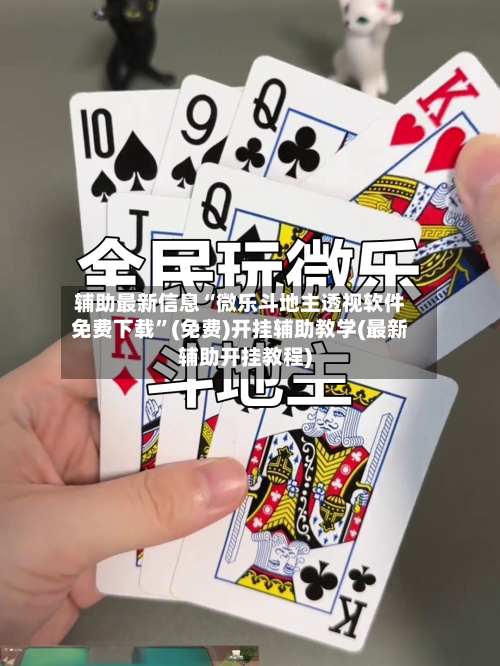 辅助最新信息“微乐斗地主透视软件免费下载”(免费)开挂辅助教学(最新辅助开挂教程)-第2张图片