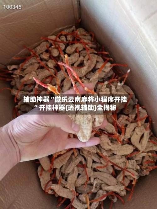 辅助神器“微乐云南麻将小程序开挂”开挂神器{透视辅助}全揭秘-第1张图片