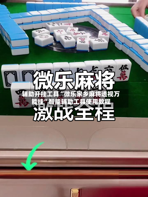 辅助开挂工具“微乐家乡麻将透视万能挂	”智能辅助工具使用教程-第2张图片