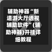 辅助神器“新道游大厅透视辅助软件”(辅助神器)开挂详细教程-第1张图片