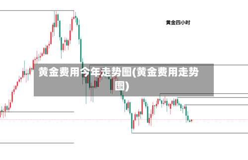 黄金费用今年走势图(黄金费用走势图)