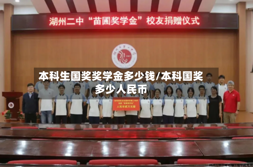 本科生国奖奖学金多少钱/本科国奖多少人民币-第2张图片