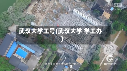 武汉大学工号(武汉大学 学工办)
