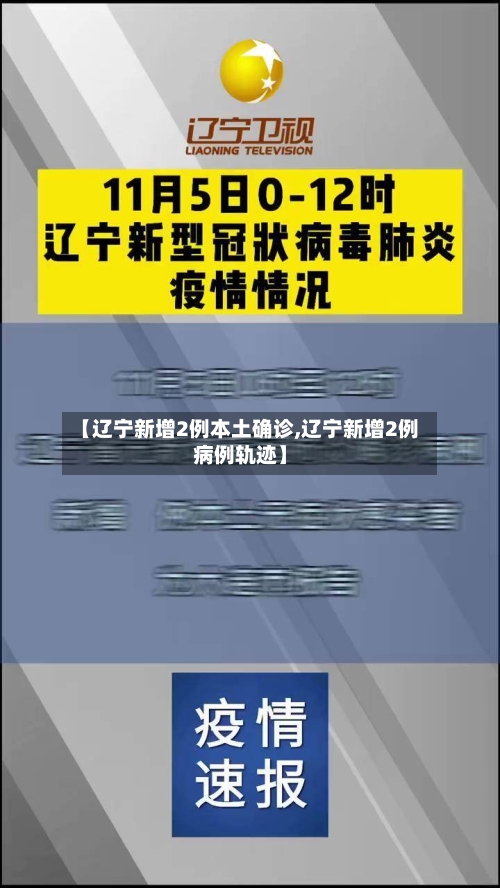 【辽宁新增2例本土确诊,辽宁新增2例病例轨迹】