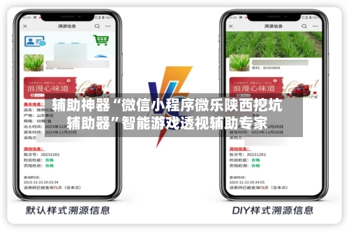 辅助神器“微信小程序微乐陕西挖坑辅助器”智能游戏透视辅助专家