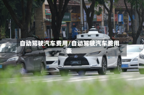 自动驾驶汽车费用/自动驾驶汽车费用表