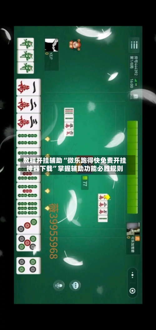 教程开挂辅助“微乐跑得快免费开挂神器下载”掌握辅助功能必胜规则