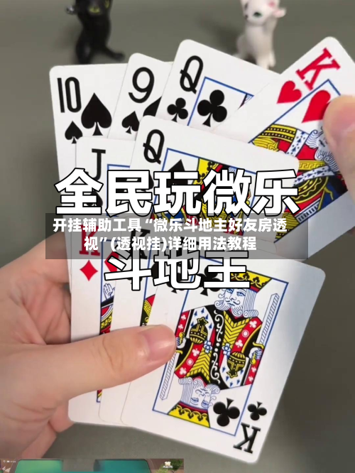 开挂辅助工具“微乐斗地主好友房透视	”(透视挂)详细用法教程-第1张图片