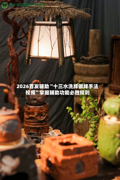 2026首发辅助“十三水洗牌做牌手法视频”掌握辅助功能必胜规则