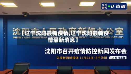 【辽宁沈阳最新疫情,辽宁沈阳最新疫情最新消息】-第3张图片