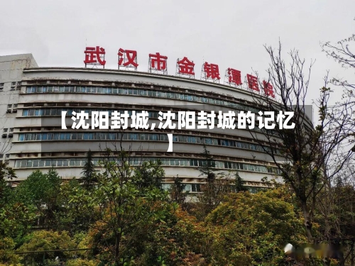 【沈阳封城,沈阳封城的记忆】