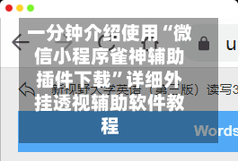 一分钟介绍使用“微信小程序雀神辅助插件下载	”详细外挂透视辅助软件教程-第1张图片