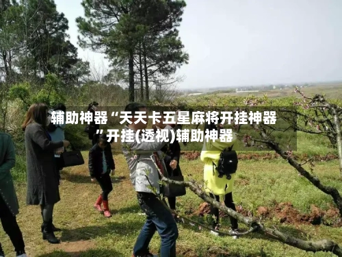 辅助神器“天天卡五星麻将开挂神器”开挂(透视)辅助神器