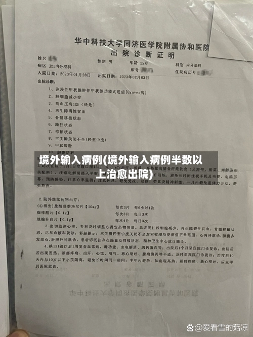 境外输入病例(境外输入病例半数以上治愈出院)