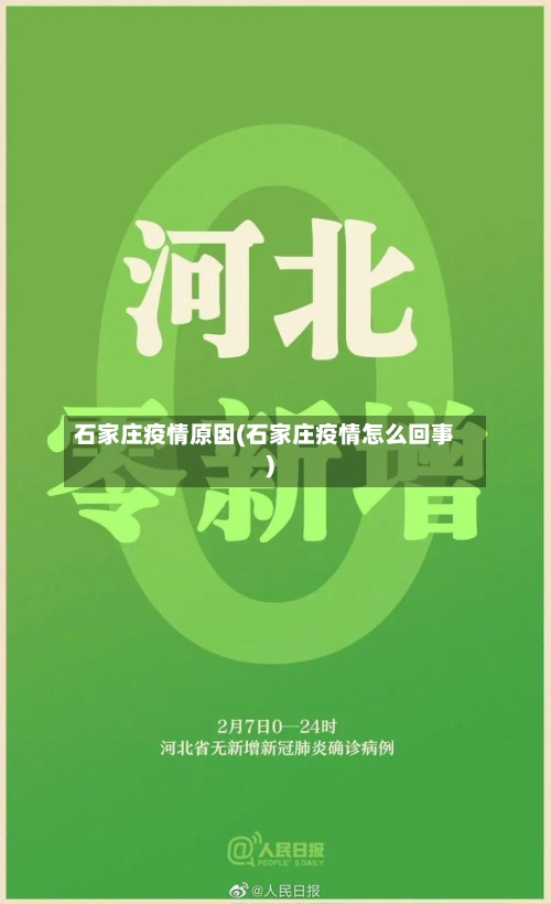 石家庄疫情原因(石家庄疫情怎么回事)-第2张图片
